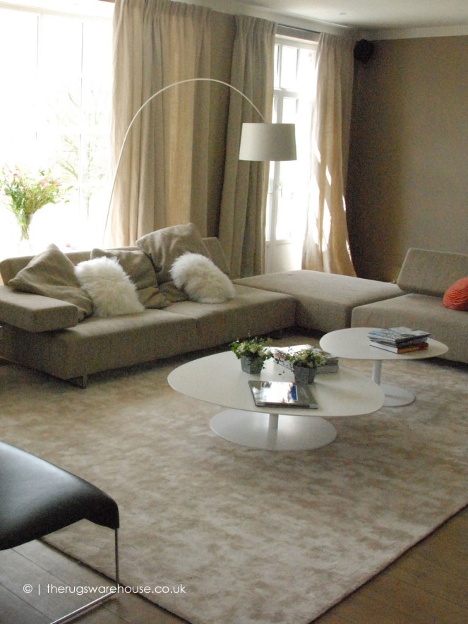 Annapurna Ivory Rug - 3
