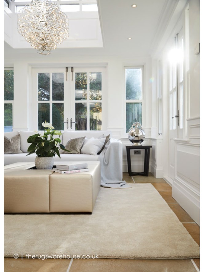 Hush Mink Rug - 2