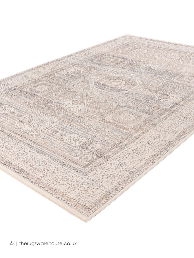 Arenella Silver Beige Rug - 5