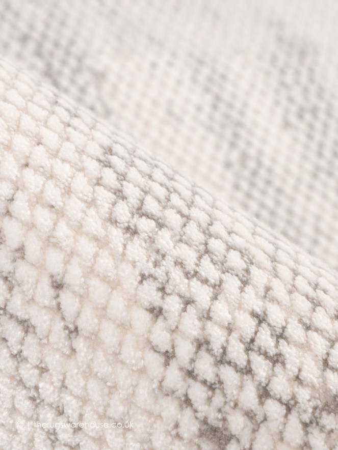 Gergovie Silver Rug - 3