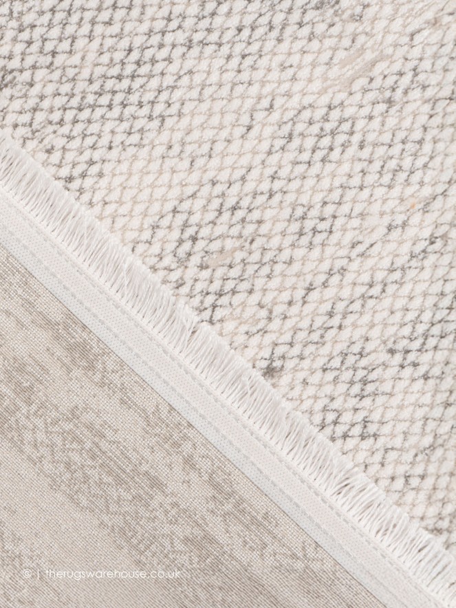 Gergovie Silver Rug - 4