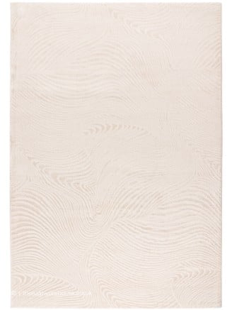 Gambetta Ivory