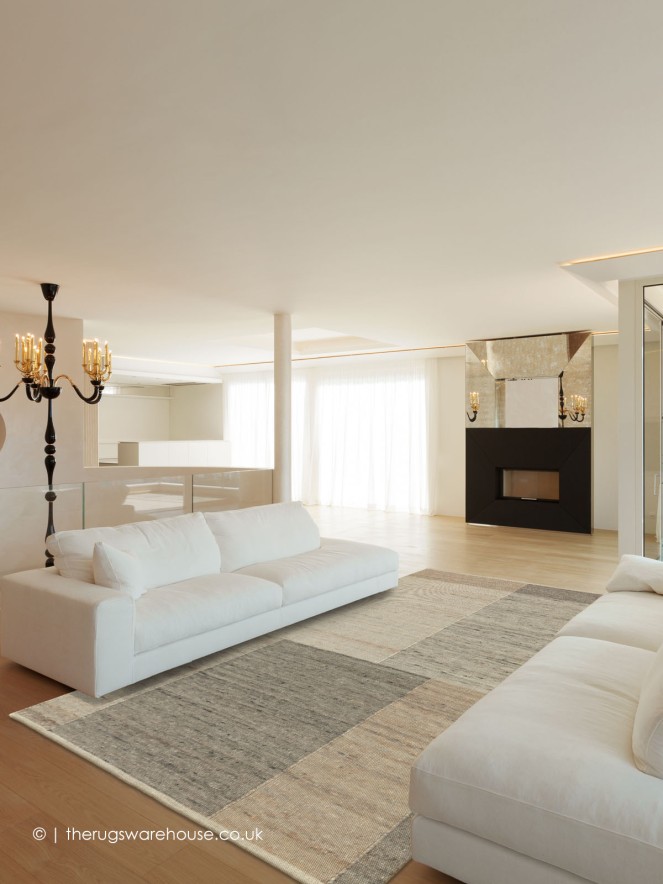 Ovola Grey Beige Rug - 2