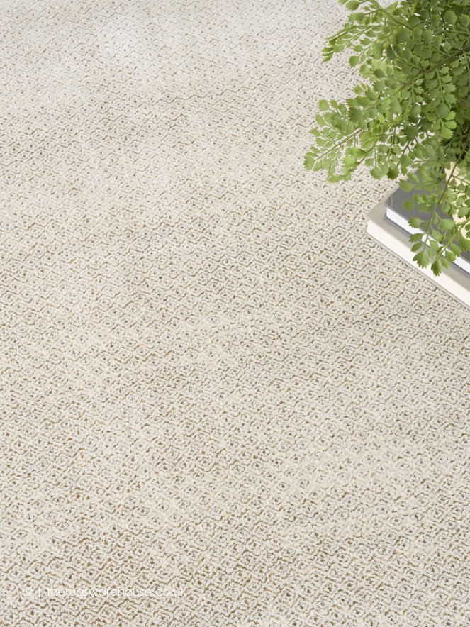 Monson Taupe Rug - 5