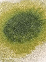 Drop Green Pepper Circle Rug - Thumbnail - 5