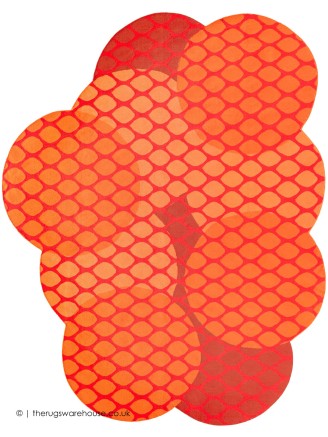 Citrus Orange