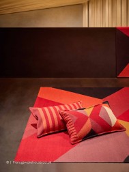 Vanguardias Red Rug - Thumbnail - 3