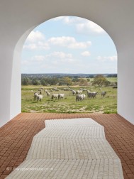 Linsvy White Rug - Thumbnail - 2