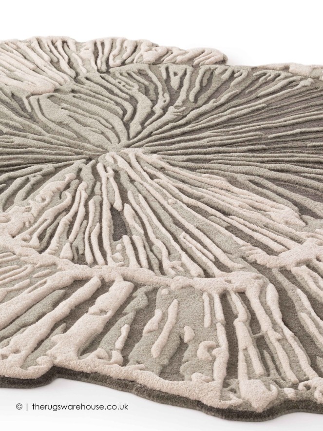 Botanica Solo Grey Rug - 4
