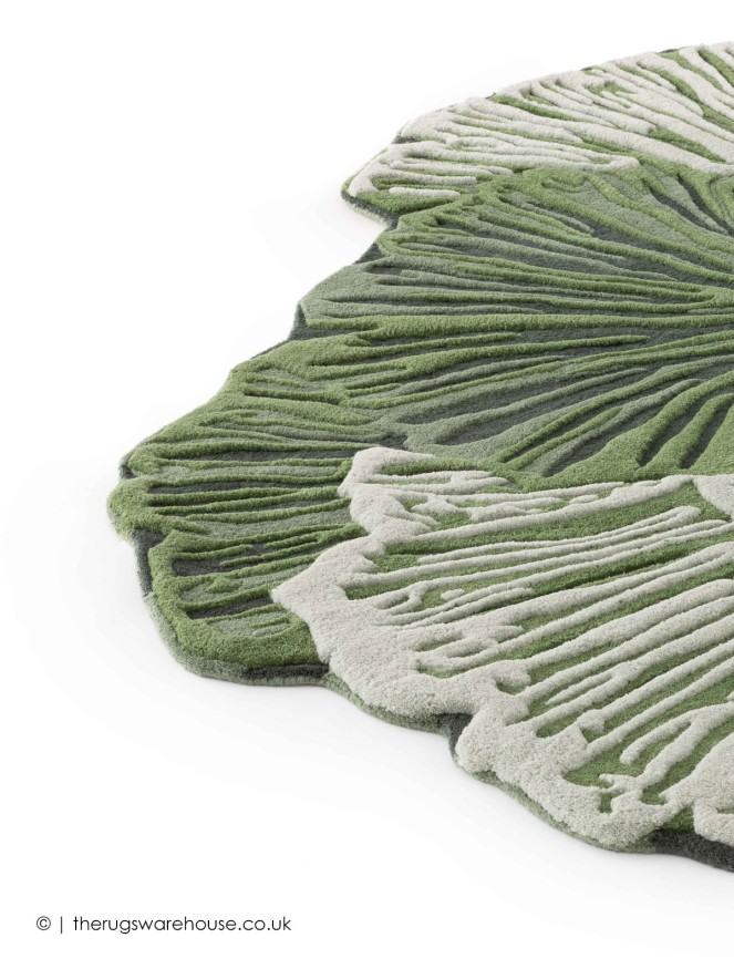 Botanica Solo Green Rug - 5