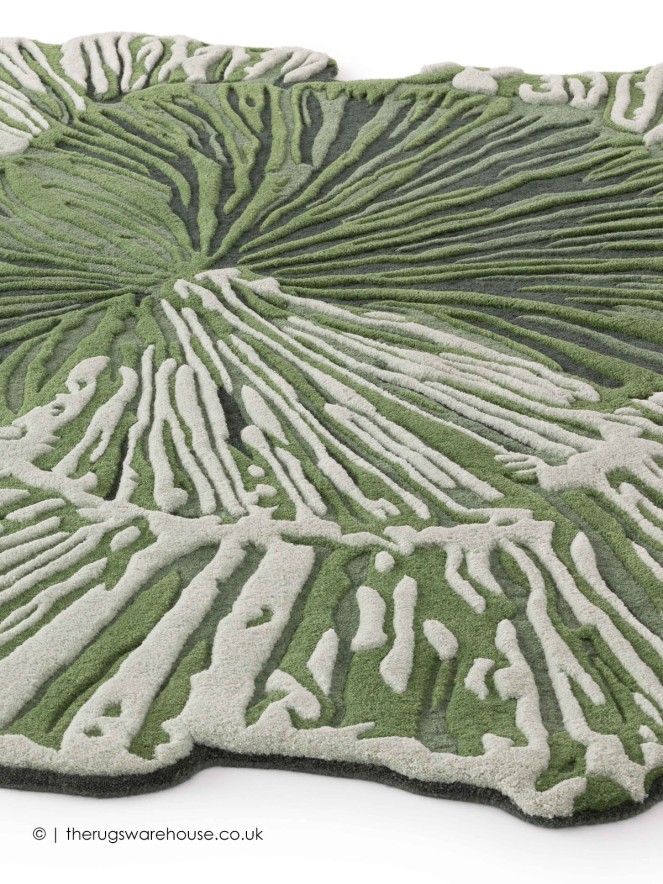 Botanica Solo Green Rug - 6