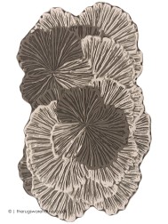Botanica Grey Rug - Thumbnail - 2