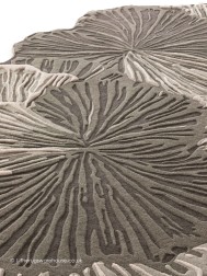 Botanica Grey Rug - Thumbnail - 3
