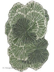 Botanica Green Rug - Thumbnail - 2