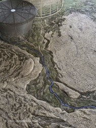Indus Rug - Thumbnail - 5
