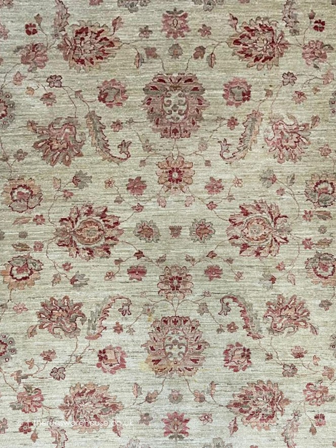 Ziegler 18360 Rug - 3