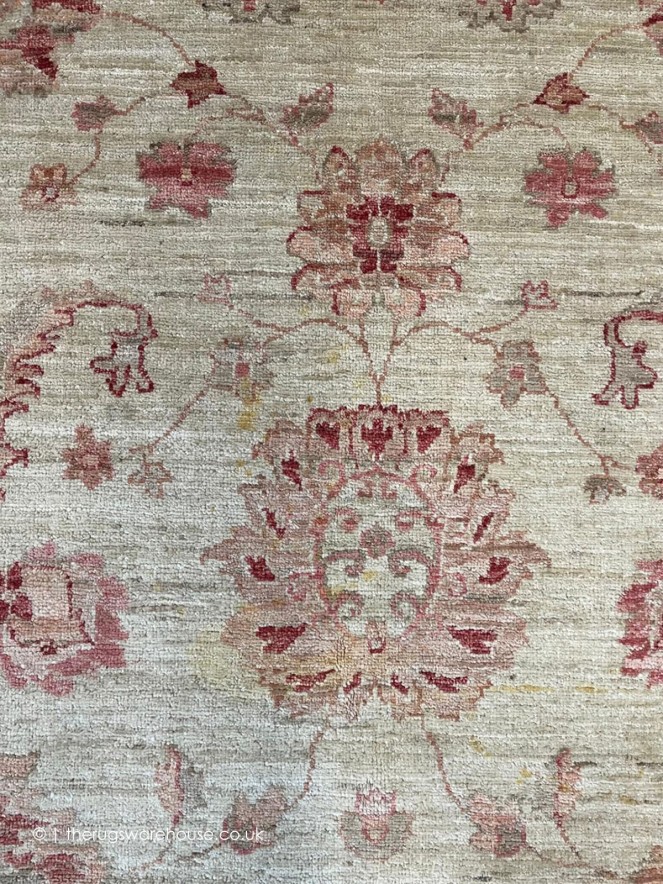 Ziegler 18360 Rug - 4