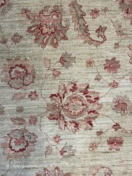 Ziegler 18360 Rug - Thumbnail - 6