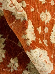 Ziegler 3344 Rug - Thumbnail - 3