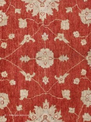 Ziegler 18467 Rug - Thumbnail - 4