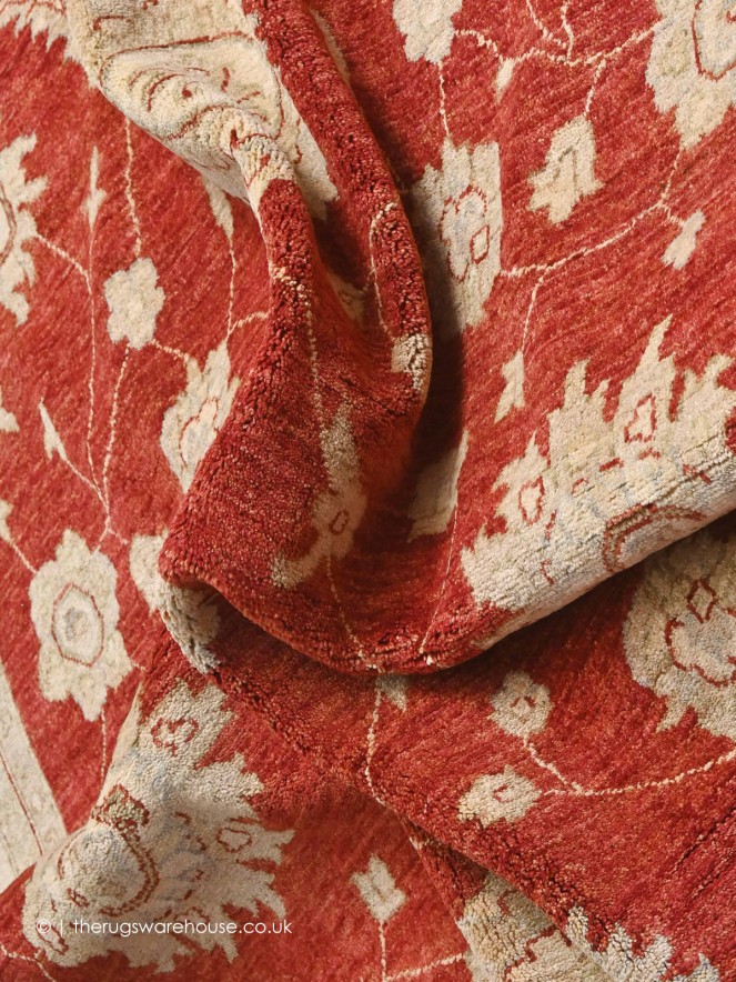 Ziegler 18467 Rug - 5