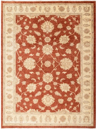Ziegler Shahi