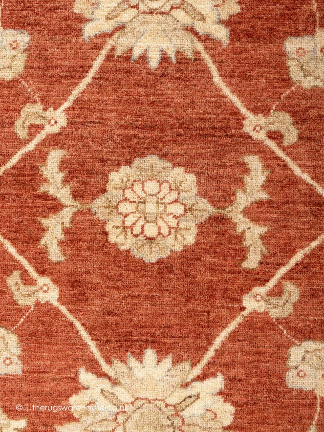 Ziegler Shahi Rug - 4
