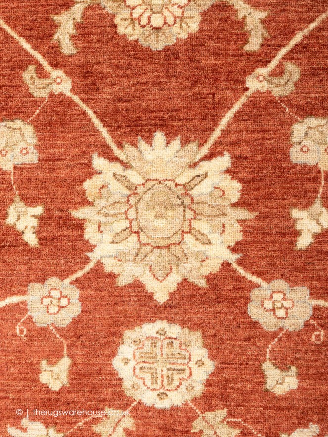 Ziegler Shahi Rug - 5
