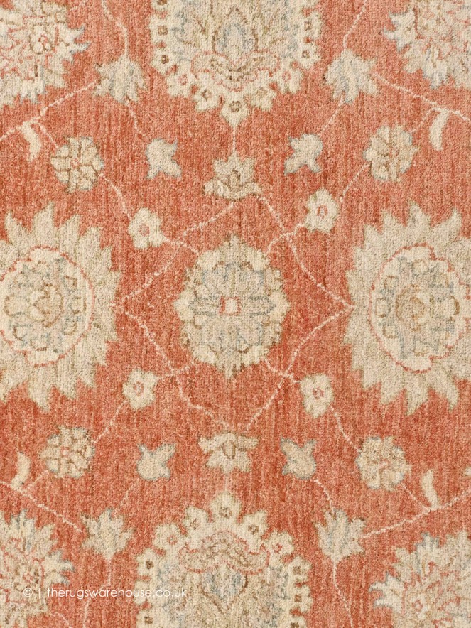 Ziegler 18491 Rug - 6