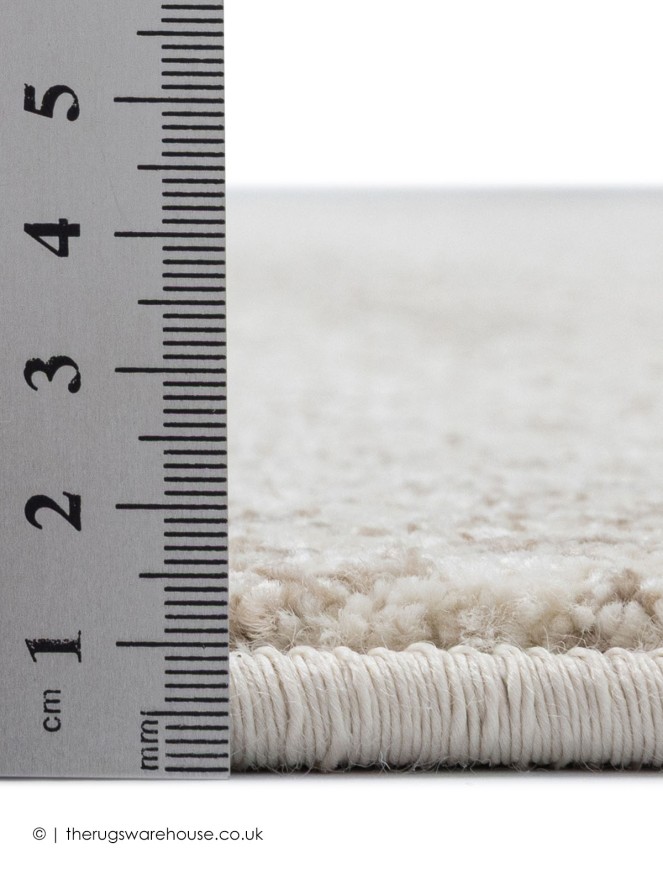 Sanezar Beige Rug - 3