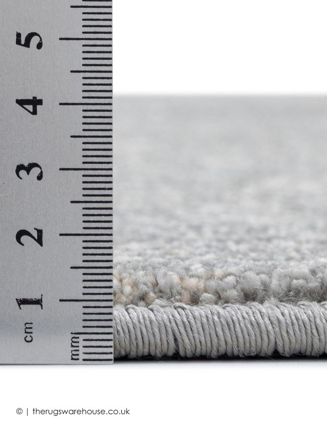 Sanezar Grey Rug - 3
