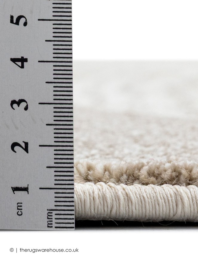 Dartan Rug - 3