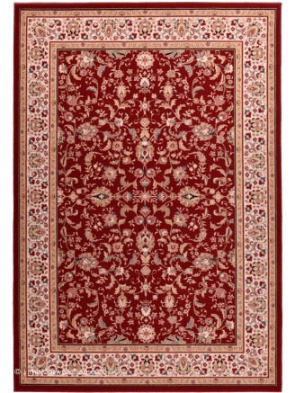Shahinaz Red