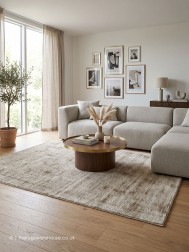 Elletra Light Brown Rug - Thumbnail - 2