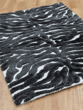 Cleo Zebra