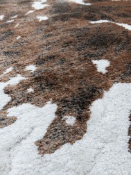 Rodeo Rug - Thumbnail - 6