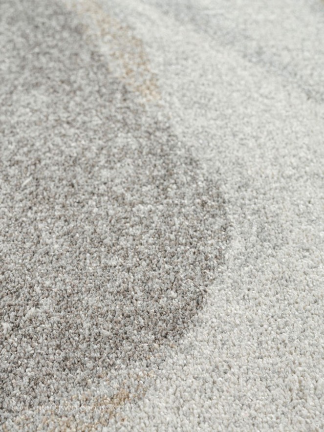 Prolan Rug - 5