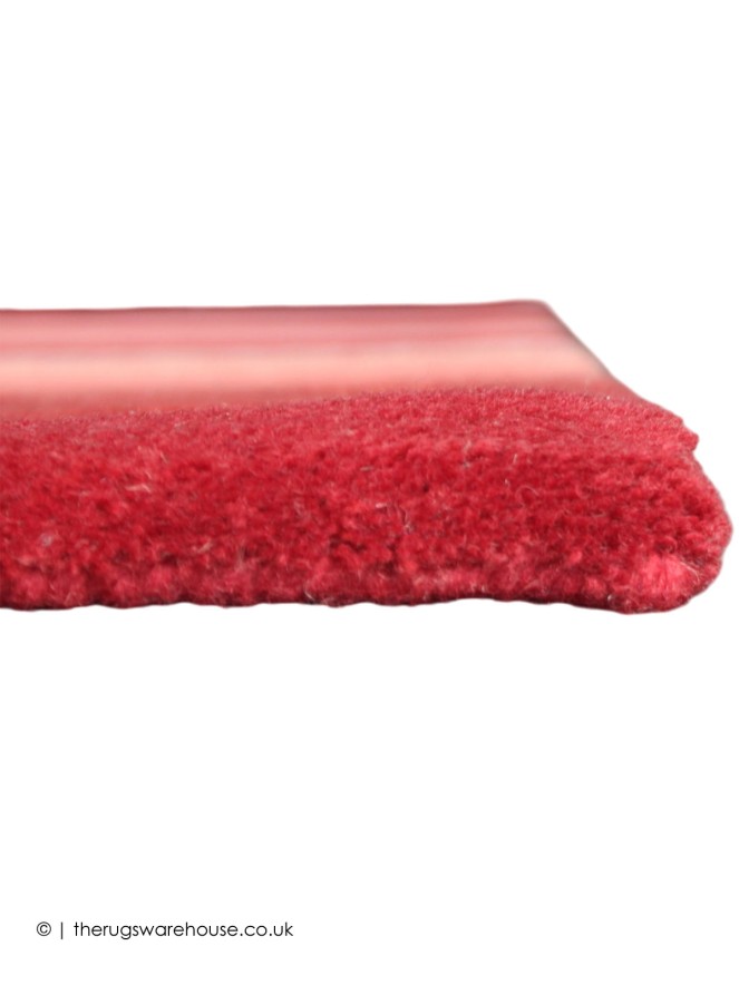 Baskin Rug - 5