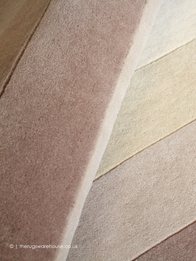 Delmar Rug - 3