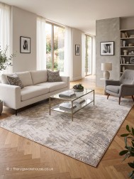 Sormiou Beige Silver Rug - Thumbnail - 2